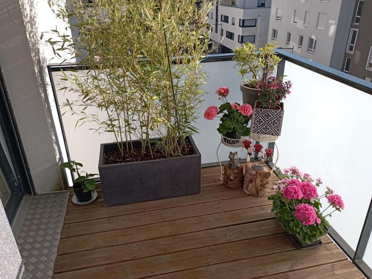 Chambre Nature Chez L'Habitant Strasbourg Bagian luar foto